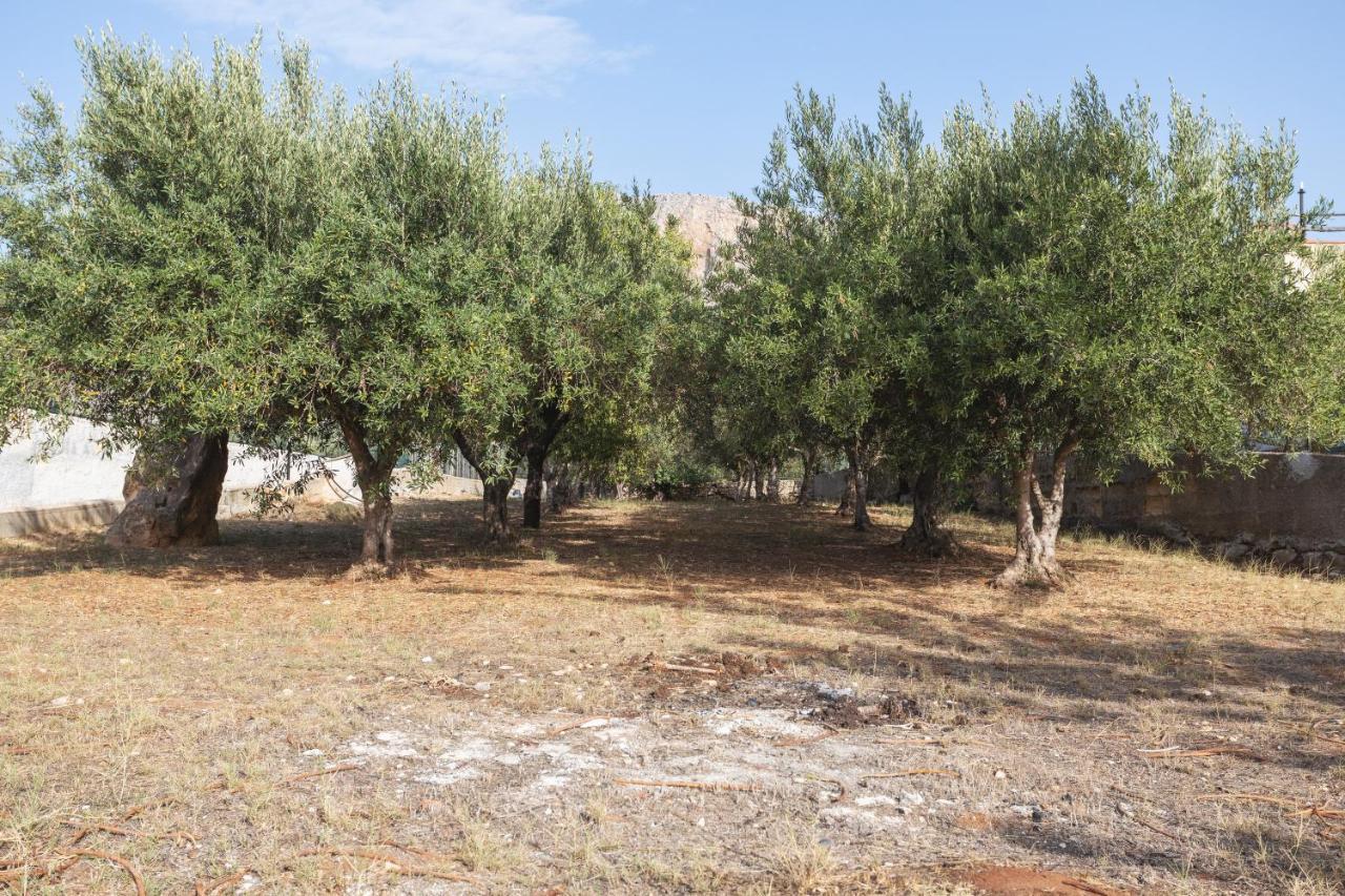 Casa Vista Mare Tra Gli Ulivi Villa Terrasini Eksteriør billede